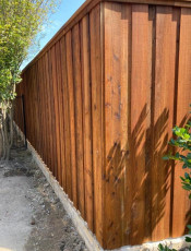 WhatsApp Image 2023-03-17 at 4.28.44 AM (2)