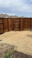 WhatsApp Image 2023-03-17 at 4.28.46 AM (1)